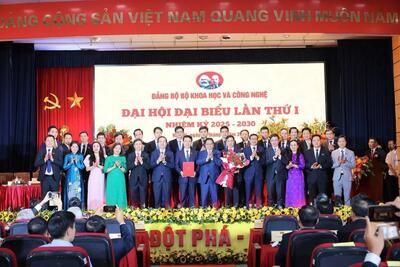 <a href="/tin-tuc/so-huu-tri-tue" title="Sở hữu trí tuệ" rel="dofollow">Sở hữu trí tuệ</a>