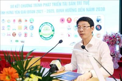 <a href="/tin-tuc/so-huu-tri-tue" title="Sở hữu trí tuệ" rel="dofollow">Sở hữu trí tuệ</a>