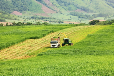 <a href="/tin-tuc" title="Tin tức" rel="dofollow">Tin tức</a>