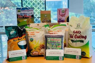 <a href="/tin-tuc/so-huu-tri-tue" title="Sở hữu trí tuệ" rel="dofollow">Sở hữu trí tuệ</a>