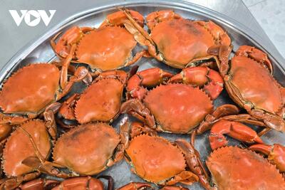 <a href="/tin-tuc/so-huu-tri-tue" title="Sở hữu trí tuệ" rel="dofollow">Sở hữu trí tuệ</a>