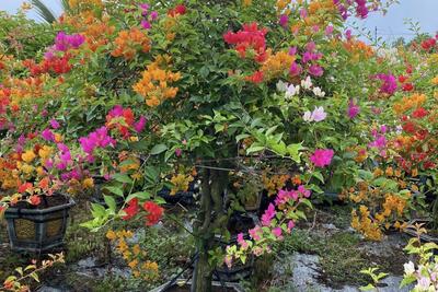 <a href="/tin-tuc/thuong-hieu" title="Thương hiệu" rel="dofollow">Thương hiệu</a>