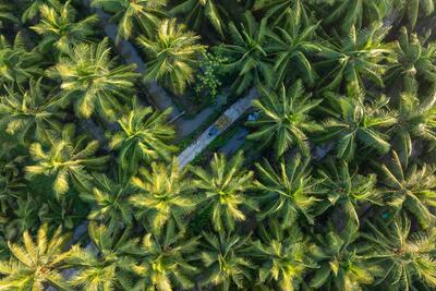 <a href="/tin-tuc/cong-nghe-" title="Công nghệ" rel="dofollow">Công nghệ</a>