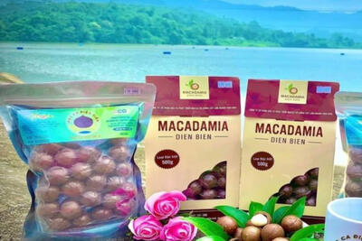 <a href="/tin-tuc/so-huu-tri-tue" title="Sở hữu trí tuệ" rel="dofollow">Sở hữu trí tuệ</a>