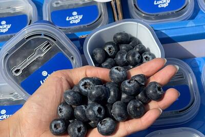 <a href="/tin-tuc/thi-truong" title="Thị trường" rel="dofollow">Thị trường</a>