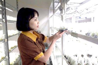 <a href="/tin-tuc/so-huu-tri-tue" title="Sở hữu trí tuệ" rel="dofollow">Sở hữu trí tuệ</a>