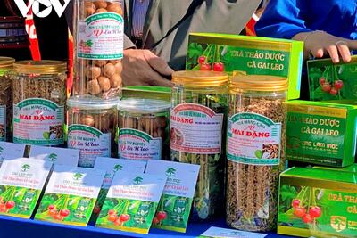 <a href="/tin-tuc/thi-truong" title="Thị trường" rel="dofollow">Thị trường</a>