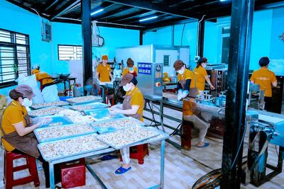 <a href="/ocop?menuId=5b874dc8921865029f564803" title="OCOP" rel="dofollow">OCOP</a>