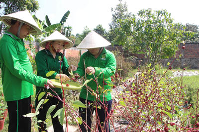 <a href="/ocop" title="OCOP" rel="dofollow">OCOP</a>