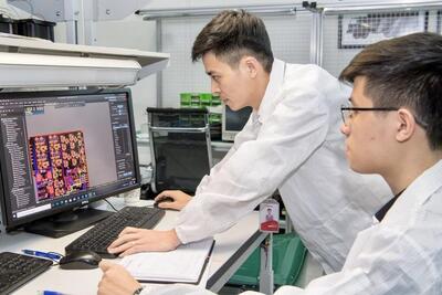 <a href="/tin-tuc/so-huu-tri-tue" title="Sở hữu trí tuệ" rel="dofollow">Sở hữu trí tuệ</a>