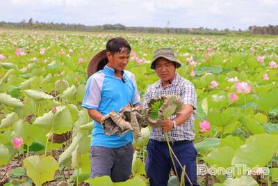 <a href="/tin-tuc/thuong-hieu" title="Thương hiệu" rel="dofollow">Thương hiệu</a>