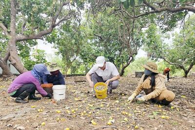 <a href="/tin-tuc/thuong-hieu" title="Thương hiệu" rel="dofollow">Thương hiệu</a>