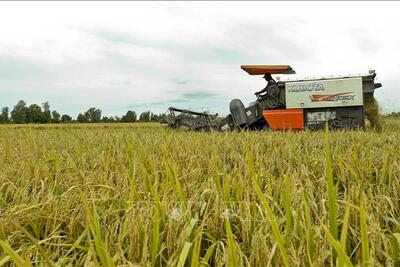 <a href="/tin-tuc/thuong-hieu" title="Thương hiệu" rel="dofollow">Thương hiệu</a>