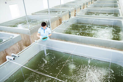 <a href="/tin-tuc/kinh-doanh" title="Kinh doanh" rel="dofollow">Kinh doanh</a>