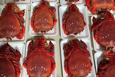 <a href="/tin-tuc/so-huu-tri-tue" title="Sở hữu trí tuệ" rel="dofollow">Sở hữu trí tuệ</a>