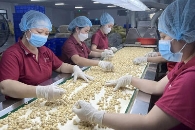 <a href="/tin-tuc/thi-truong" title="Thị trường" rel="dofollow">Thị trường</a>