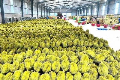 <a href="/tin-tuc" title="Tin tức" rel="dofollow">Tin tức</a>