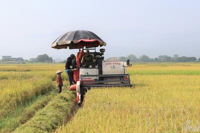 <a href="/tin-tuc/thuong-hieu" title="Thương hiệu" rel="dofollow">Thương hiệu</a>