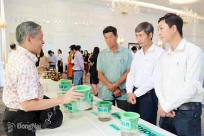 <a href="/tin-tuc/kinh-te-suc-khoe" title="Kinh tế sức khỏe" rel="dofollow">Kinh tế sức khỏe</a>