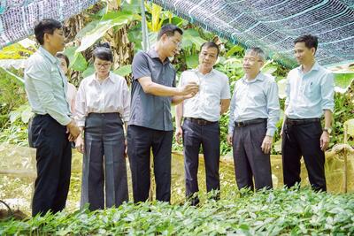<a href="/tin-tuc/thuong-hieu" title="Thương hiệu" rel="dofollow">Thương hiệu</a>