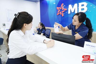 <a href="/tin-tuc/so-huu-tri-tue" title="Sở hữu trí tuệ" rel="dofollow">Sở hữu trí tuệ</a>