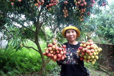 <a href="/tin-tuc/thuong-hieu" title="Thương hiệu" rel="dofollow">Thương hiệu</a>