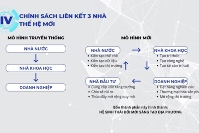 <a href="/tin-tuc/so-huu-tri-tue" title="Sở hữu trí tuệ" rel="dofollow">Sở hữu trí tuệ</a>