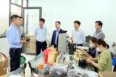 <a href="/tin-tuc/so-huu-tri-tue" title="Sở hữu trí tuệ" rel="dofollow">Sở hữu trí tuệ</a>