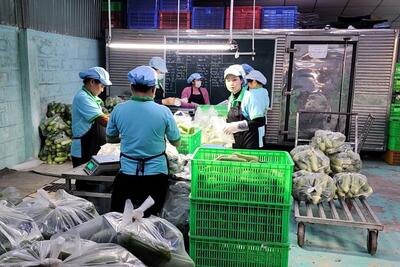 <a href="/tin-tuc/so-huu-tri-tue" title="Sở hữu trí tuệ" rel="dofollow">Sở hữu trí tuệ</a>