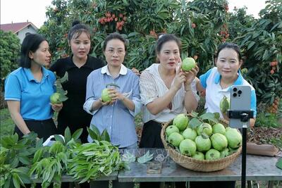 <a href="/tin-tuc/quan-tri" title="Quản trị" rel="dofollow">Quản trị</a>