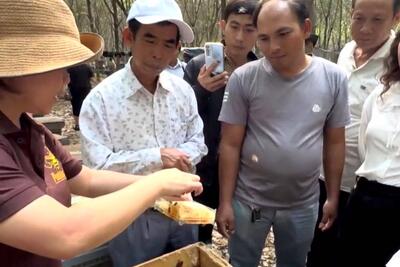<a href="/tin-tuc/so-huu-tri-tue" title="Sở hữu trí tuệ" rel="dofollow">Sở hữu trí tuệ</a>