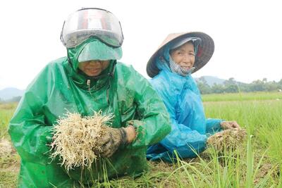 <a href="/tin-tuc/thuong-hieu" title="Thương hiệu" rel="dofollow">Thương hiệu</a>
