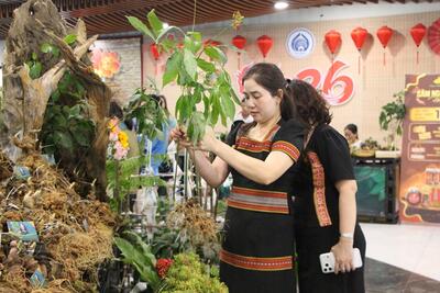 <a href="/tin-tuc/kinh-te-suc-khoe" title="Kinh tế sức khỏe" rel="dofollow">Kinh tế sức khỏe</a>