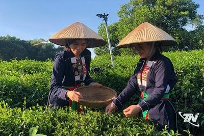 <a href="/tin-tuc/thuong-hieu" title="Thương hiệu" rel="dofollow">Thương hiệu</a>