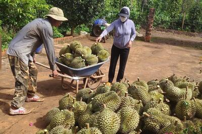 <a href="/tin-tuc/so-huu-tri-tue" title="Sở hữu trí tuệ" rel="dofollow">Sở hữu trí tuệ</a>