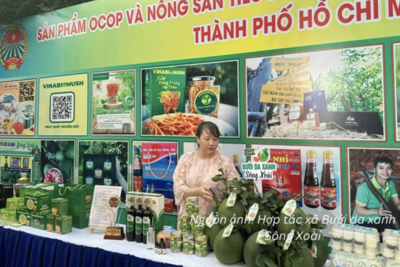 <a href="/tin-tuc/thuong-hieu" title="Thương hiệu" rel="dofollow">Thương hiệu</a>