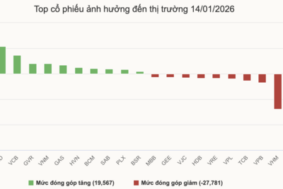 <a href="/tin-tuc/kinh-doanh" title="Kinh doanh" rel="dofollow">Kinh doanh</a>