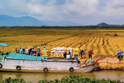 <a href="/tin-tuc/so-huu-tri-tue" title="Sở hữu trí tuệ" rel="dofollow">Sở hữu trí tuệ</a>