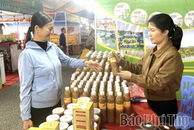 <a href="/tin-tuc/thuong-hieu" title="Thương hiệu" rel="dofollow">Thương hiệu</a>