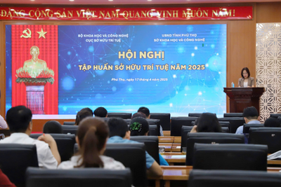 <a href="/tin-tuc/so-huu-tri-tue" title="Sở hữu trí tuệ" rel="dofollow">Sở hữu trí tuệ</a>