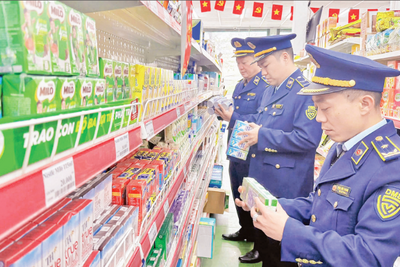 <a href="/tin-tuc/so-huu-tri-tue" title="Sở hữu trí tuệ" rel="dofollow">Sở hữu trí tuệ</a>