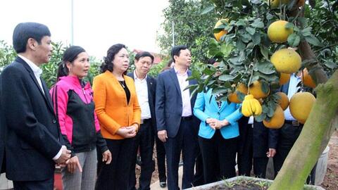 Đẩy mạnh ứng dụng công nghệ cao trong nông nghiệp