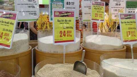 Gạo nội cạnh tranh khốc liệt với gạo ngoại ngay trên sân nhà
