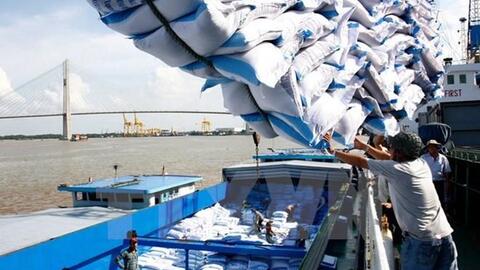 Xuất khẩu gạo chuyển từ lượng sang chất