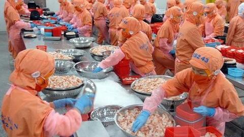 Cần làm những gì để xây dựng thương hiệu cho tôm Việt Nam?