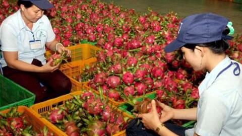 Hơn 80% nông sản Việt Nam chưa xây dựng được thương hiệu