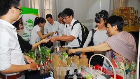 Sức hút thực phẩm Organic - Bài 1: Nhà bán lẻ 'thử sức'