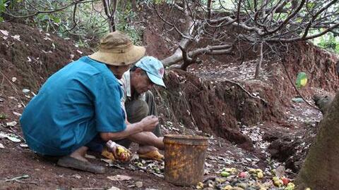 “Thủ phủ” điều tìm cách nâng cao khả năng cạnh tranh