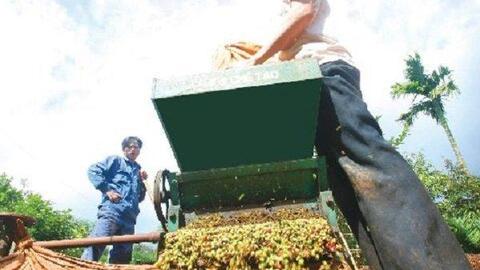 Chuyên gia bàn cách xây dựng thương hiệu thực phẩm quốc gia