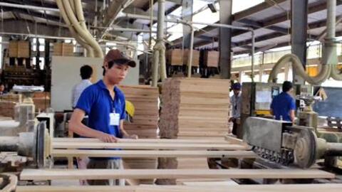 Xuất khẩu gỗ vào châu Âu nhiều triển vọng khả quan